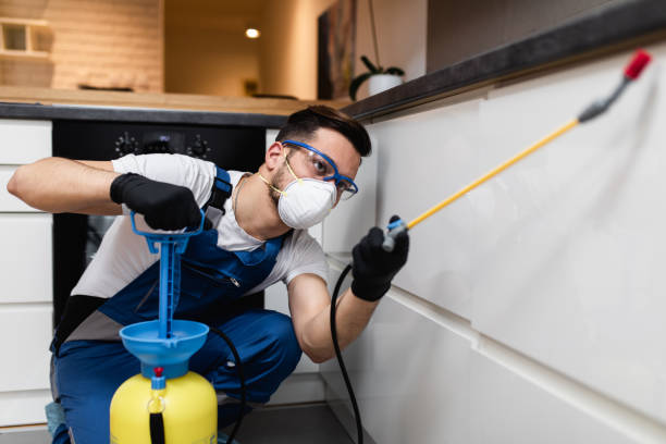 San Clemente, CA Pest Control Company