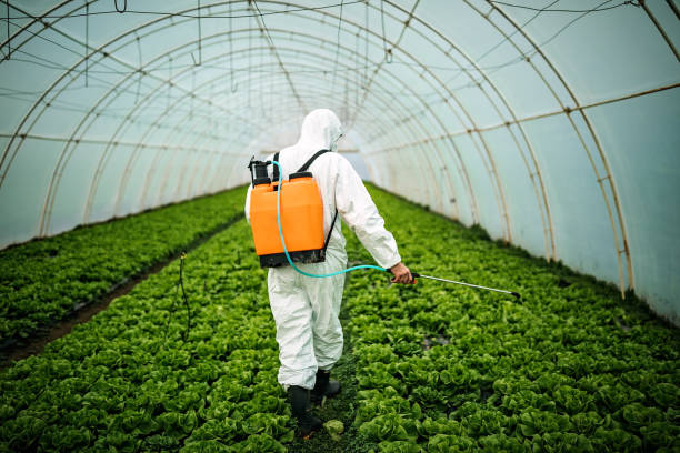 Best Ant Control Services  in San Clemente, CA