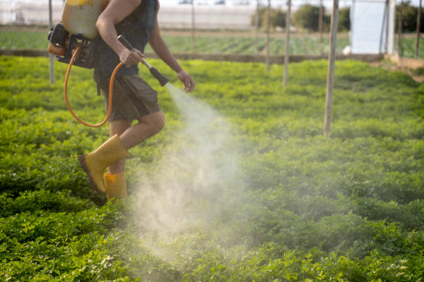 Best Pest Control Near Me  in San Clemente, CA