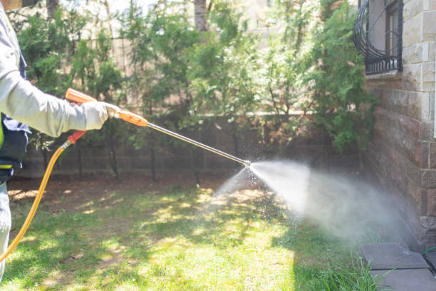 Best Cockroach Control Services  in San Clemente, CA
