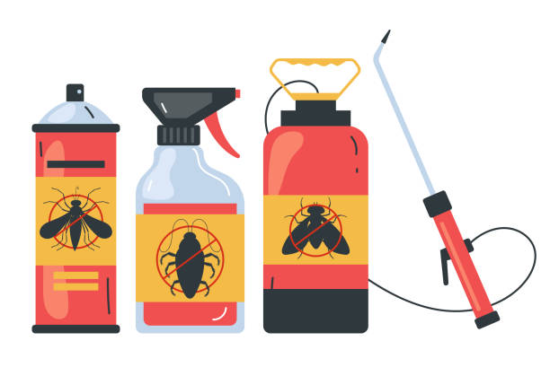 Best Rodent Control Near Me  in San Clemente, CA